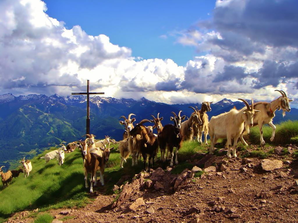 Berghotel Jochgrimm - Your Dolomites Home Varena Esterno foto