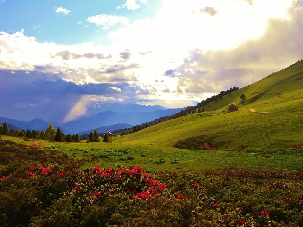 Berghotel Jochgrimm - Your Dolomites Home Varena Esterno foto